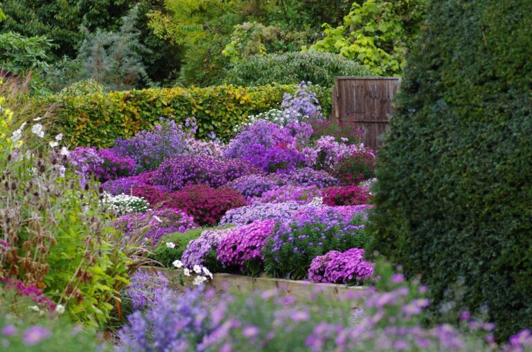 The Picton Garden & Old Court Nurseries - Visit The Malverns