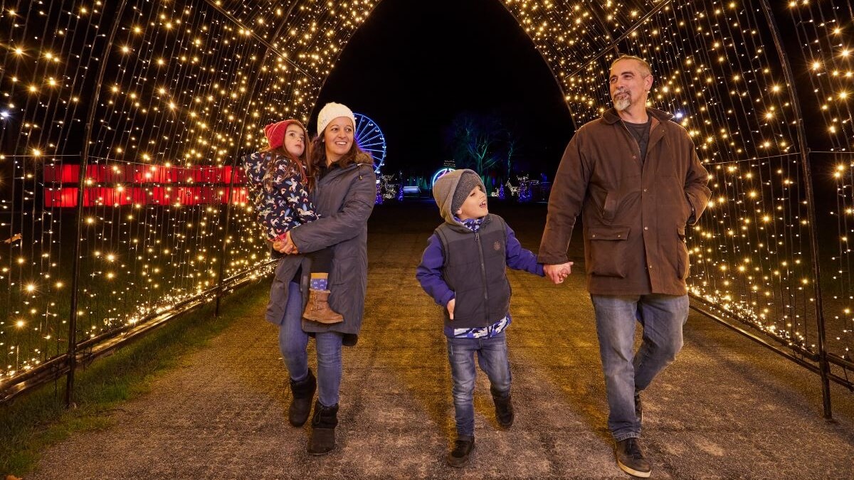 A family group (two adults and two children) walk through the light trail at Winter Glow