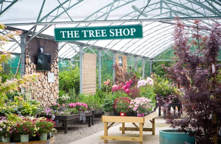 a covered outdoor tree shop