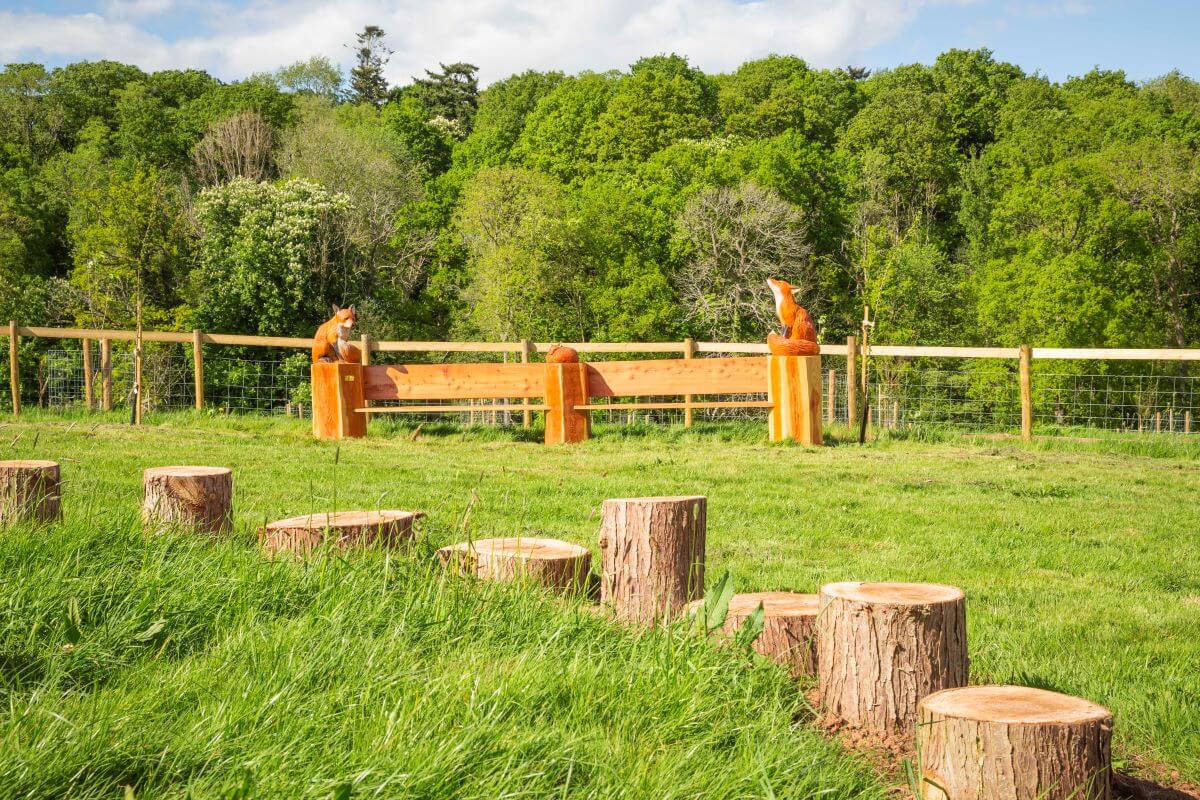 Gardens showing a carved bench decorated with fox sculptures