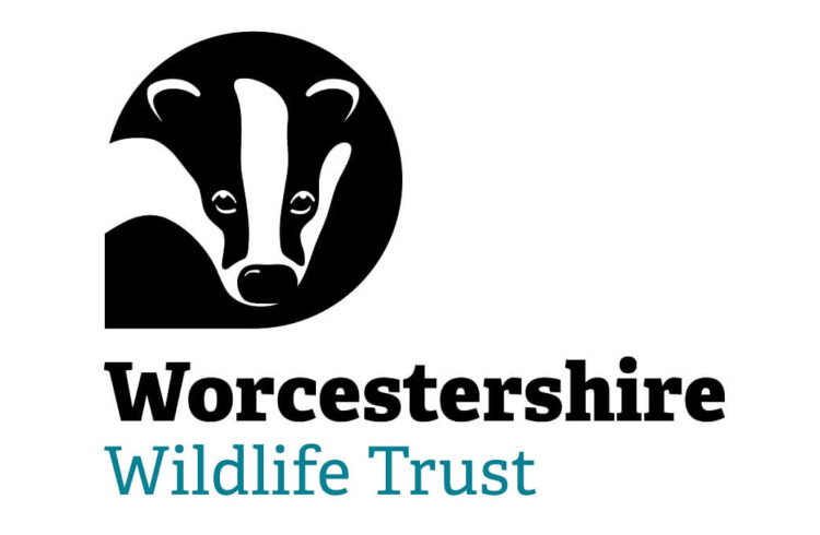 Logo of Worcestershire Wildlife Trust depicting a badger