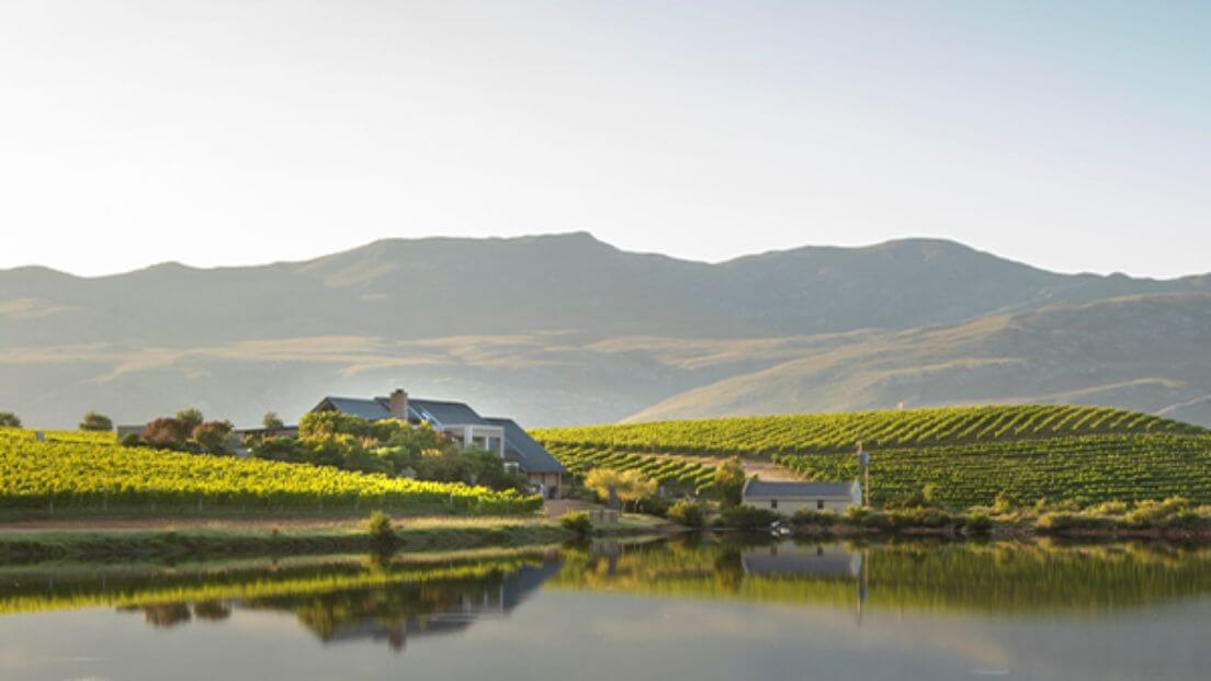 Creation Wines vineyard in South Africa, set between water and hills