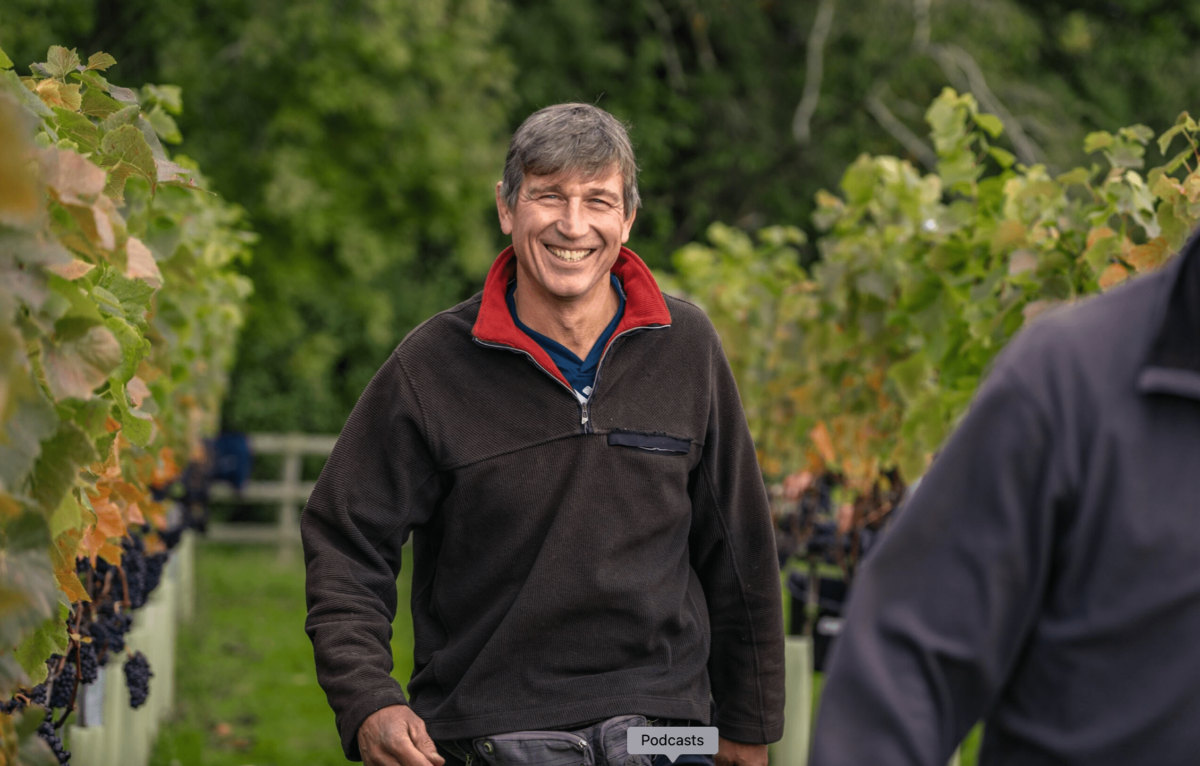 Man in a vineyard