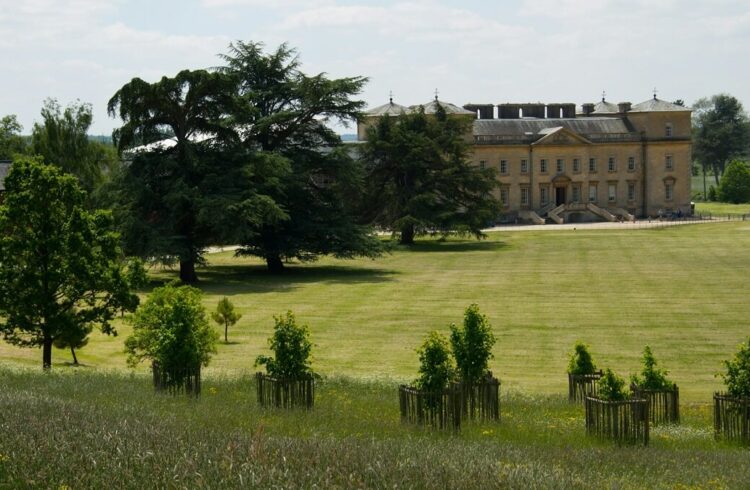 A view of new and mature trees in the parkland at Croome, with house in the distance